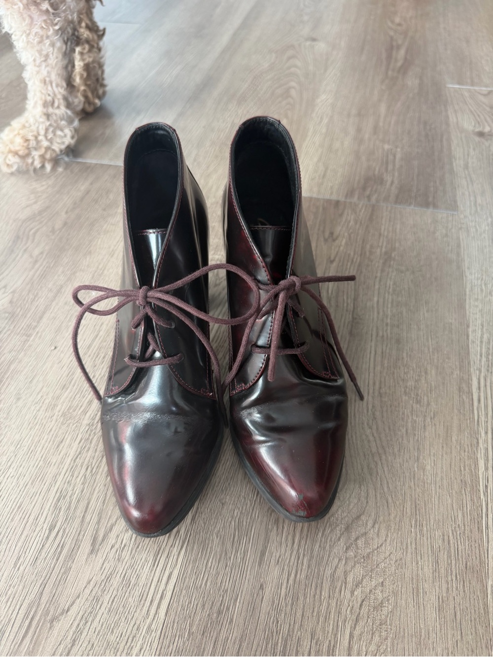 Clarks Artisan Kadri Alexa Red Burgundy Pointed Lace-Up Ankle Bootie Size 6.5 M